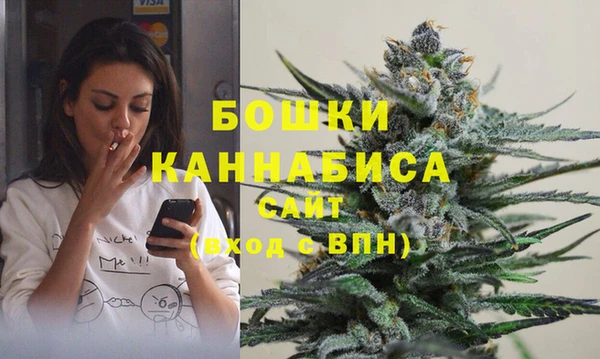 ешки Алексин