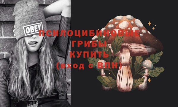 ешки Алексин