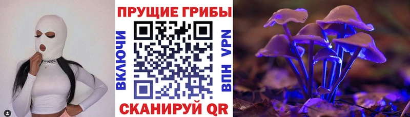 закладка  блэк спрут рабочий сайт  Псилоцибиновые грибы Psilocybine cubensis  Ачинск 